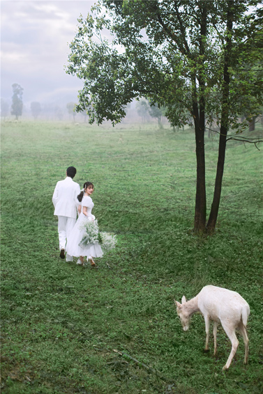 <b>谢先生x彭小姐</b>