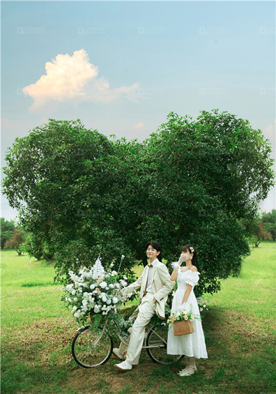 <b>贺先生x顾女士</b>