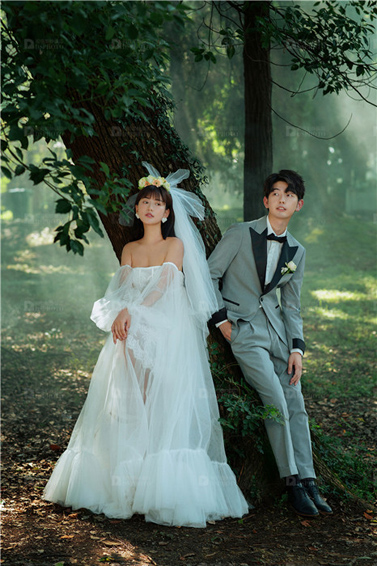 <b>贺先生x顾女士</b>